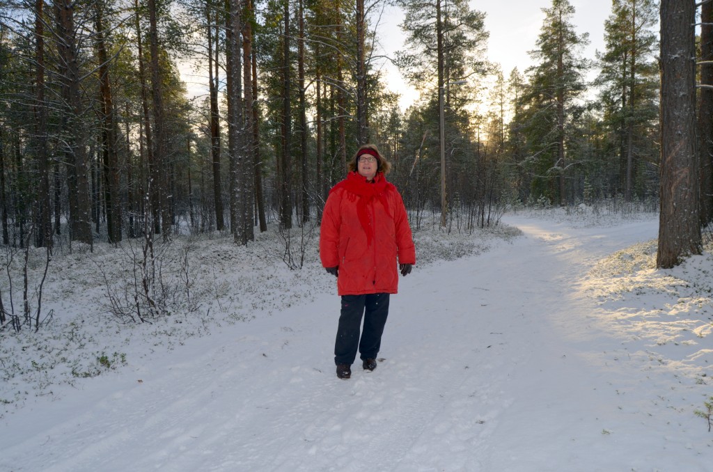 At det skal være nødvendig å måtte plassere en trafasosjan rett på en liten tjæremile i den her store skogen, er meg et mysterium, sier Åshild Karlstrøm Rundhaug. KUVAT HEIDI NILIMA MONSEN