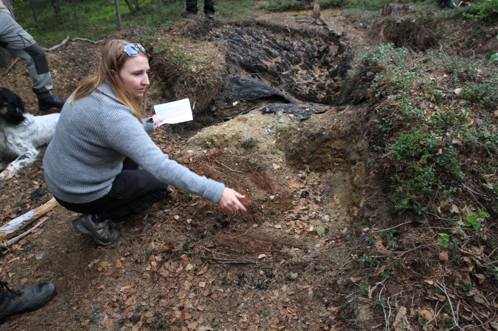 Finnmark Fylkeskommune valgte å frigi tjæremila etter en utgraving i samarbeid med Tromsø museum. Her ser vi arkeolog og prosjektleder Evelyn Johnsen under en befaring høsten 2014. KUVA ALF E. HANSEN