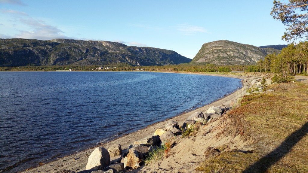 Ordet Latter, som Laattari sannsynligvis stammer fra, er fra det gammelnorske látr n. som betyr ‘liggested for sel/kobbe’. Fotografen har med sel(!)vsyn sett kobbe i området flere ganger. KUVA HEIDI NILIMA MONSEN