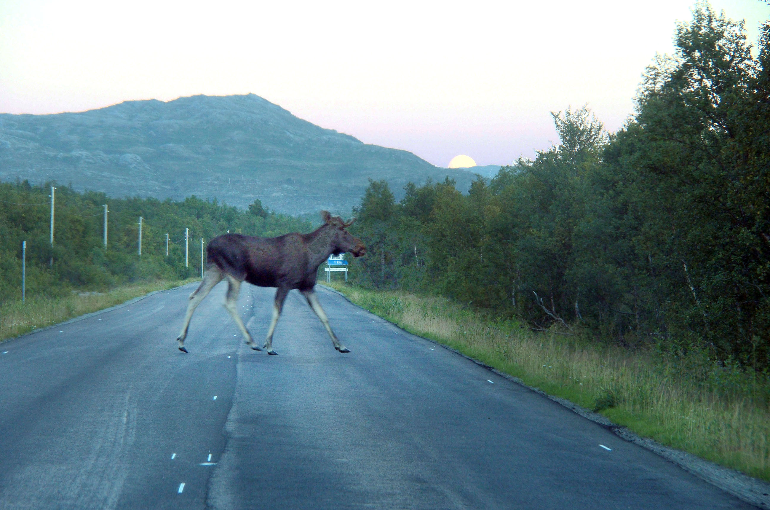 Varo elkaa!