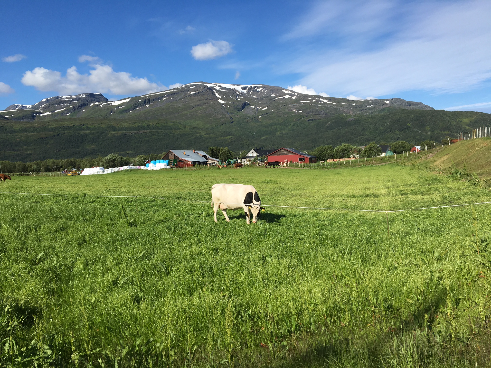 Sommerferien er her