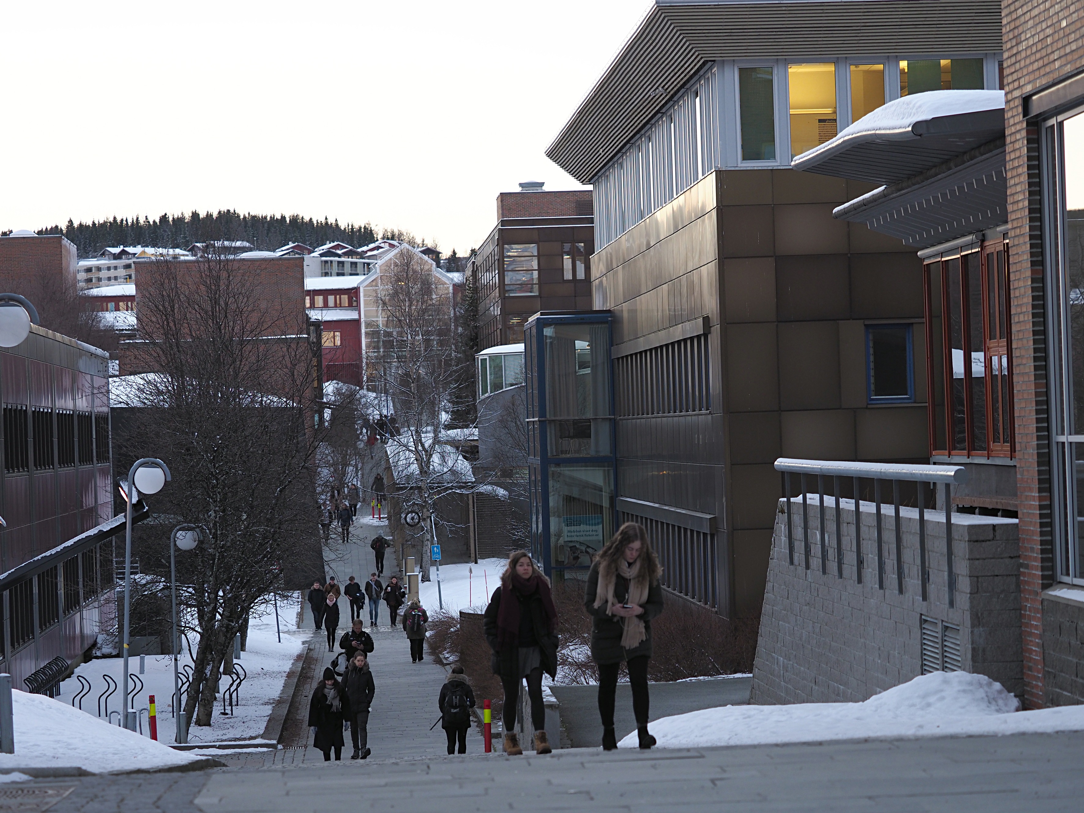 Kvenenes universitet fyller 50 år