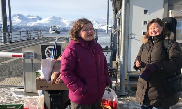 Full jubel da kvenene mønstret på