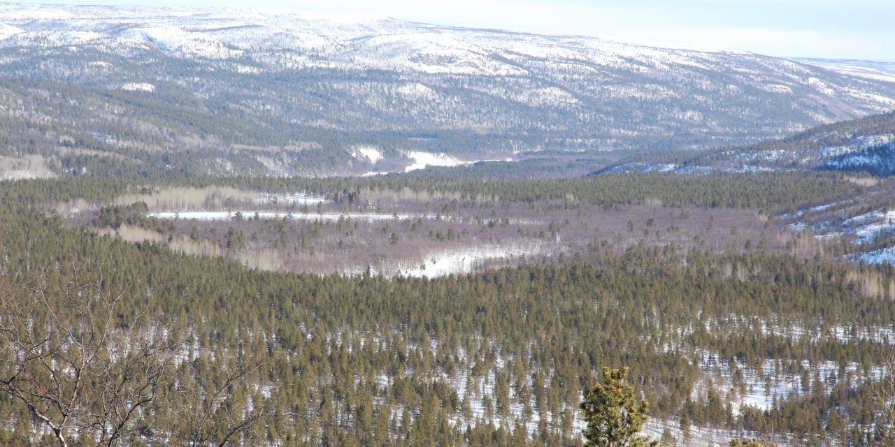 – To navn i Alta har i mange år pirret min nysgjerrighet … Sokelma og Goskamark.