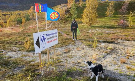 «På majoritetenes premisser»