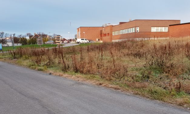 Lyst til å lede landets kvenske museum?