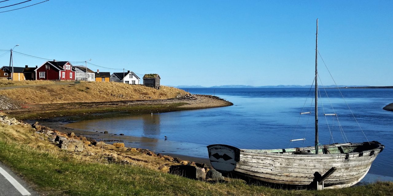 Skallelv rett rundt hjørnet