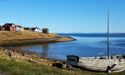 Skallelv rett rundt hjørnet