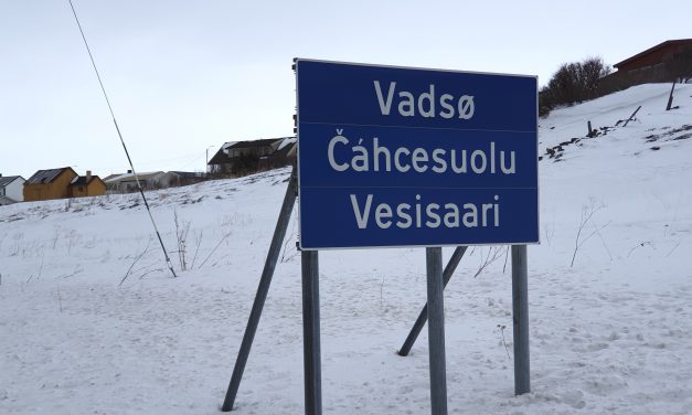 Vikarvansker er årsaken