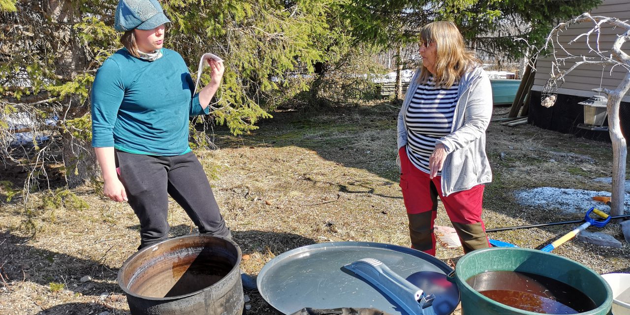 Farger skinn med bark og jernskrot