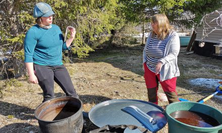 Farger skinn med bark og jernskrot