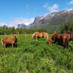 Ruijan Radio: Fra restaurering i Tana til ukelang moro i Nord-Troms