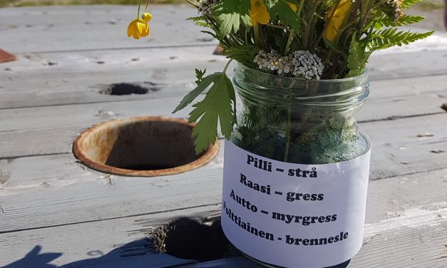 Va-ser vi her?
