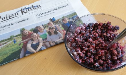 Ruijan Kaiku på stø kurs mot å bli miljøfyrtårn