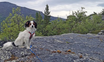 Ut på tur: Her finner du fjellvettreglene på kvensk