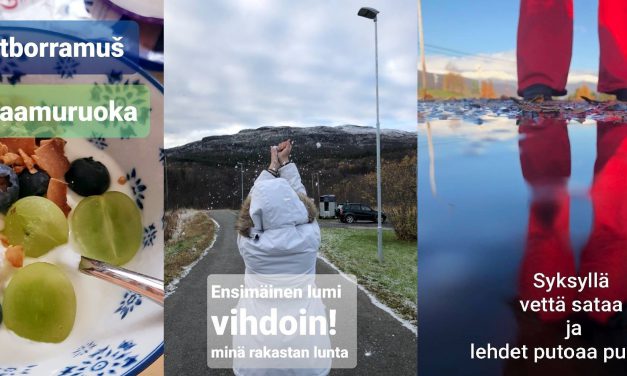 Daglige drypp av kvenske godbiter