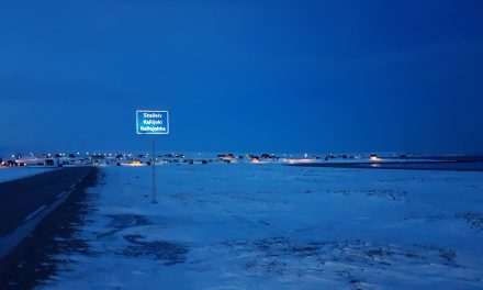 Kielisentterin uusi johtaja alkaa januaarikuussa