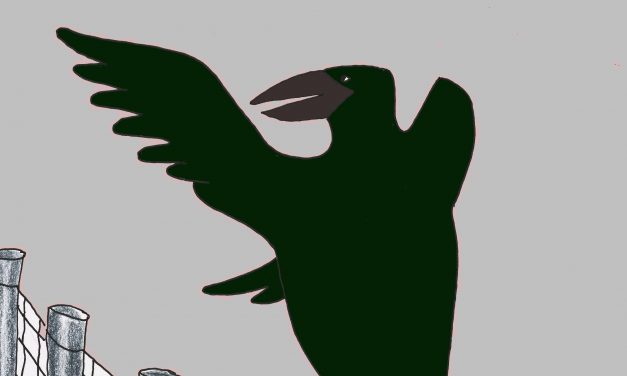 Hiiri Hiukkahamphaan suola-palat ja vähä mitäki muuta