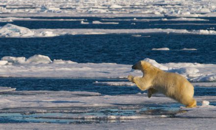 Lager klimafilm på meänkieli