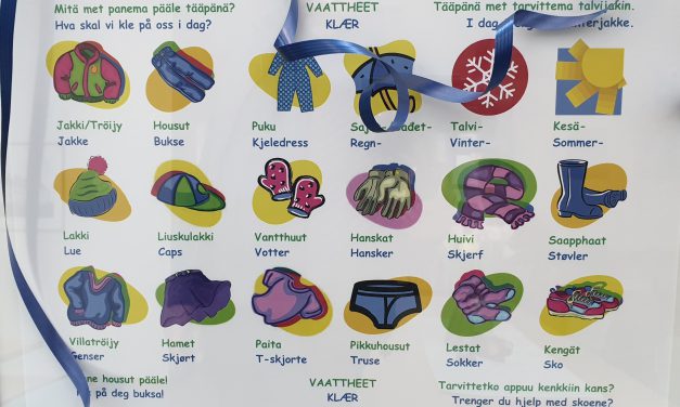 «Skal man følge logikken til Sarromaa kan man spørre seg om norsk er et eget språk eller en dansk dialekt»