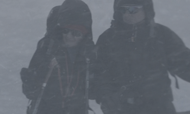 Mye finsk på det store lerret