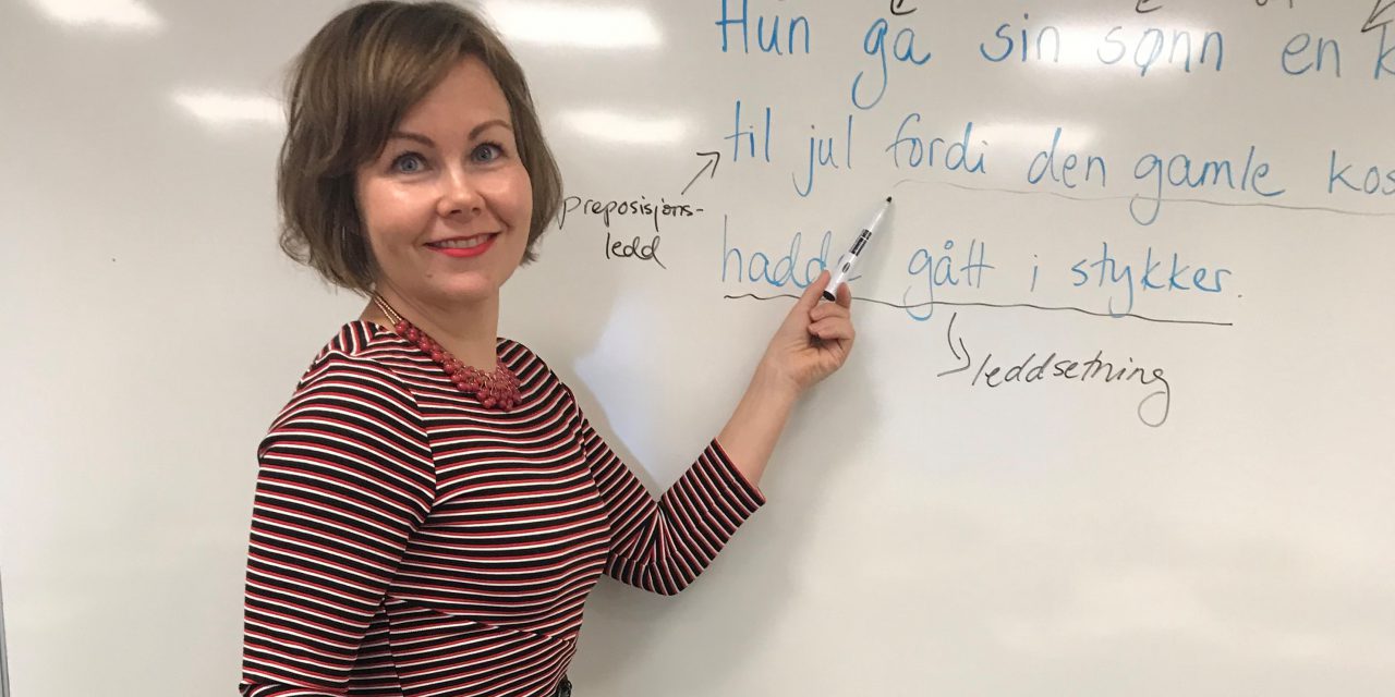 Tenk om skolen hadde undervist i kebabnorsk