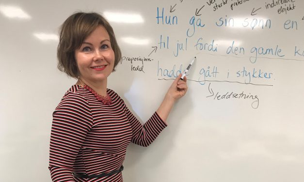 Tenk om skolen hadde undervist i kebabnorsk