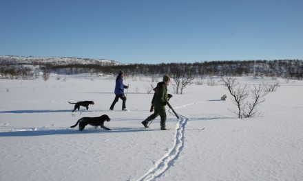 Kronikk: Hjertesukk fra en tornedaling