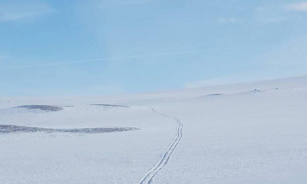 Er du klar for hvite områder? • Oletko valmis valkoisiin alueisiin?