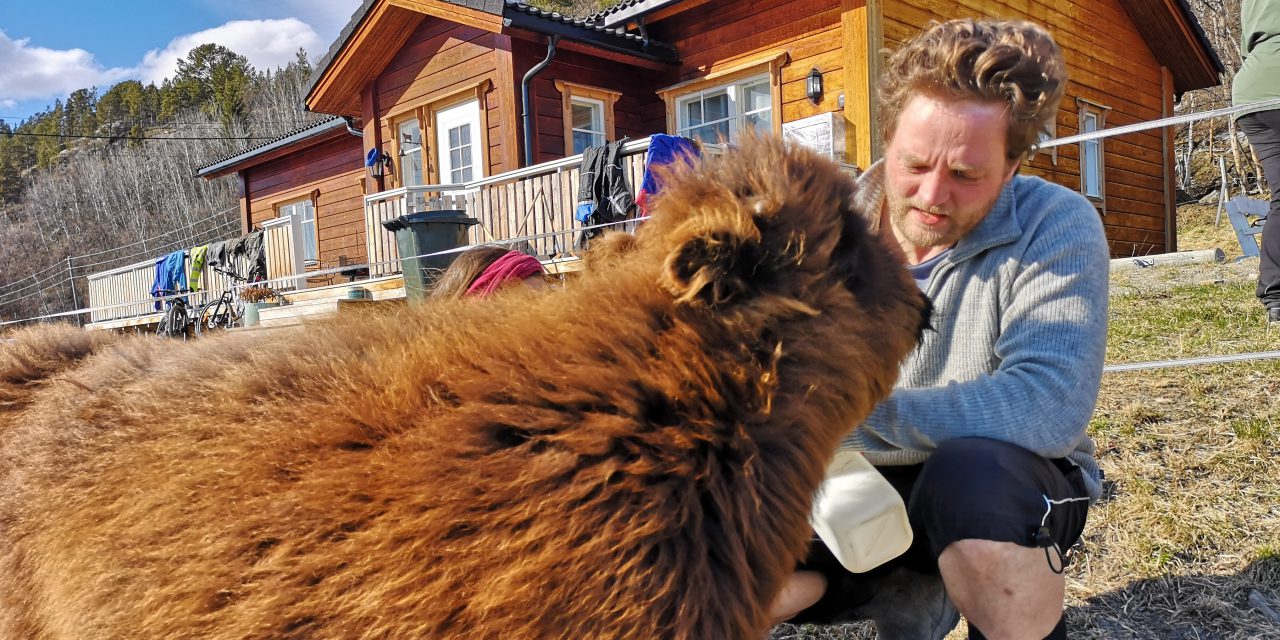 Ønsker mer fokus på kvenske næringer og rettigheter