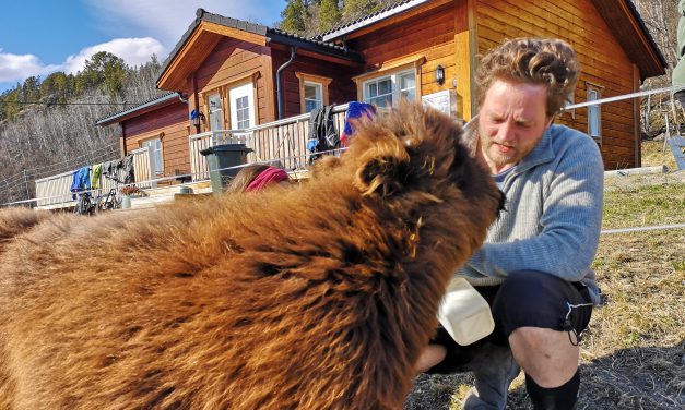 Ønsker mer fokus på kvenske næringer og rettigheter