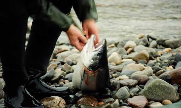 Ruijan Radio: Fiskeplass-skilting og utenlandsreise