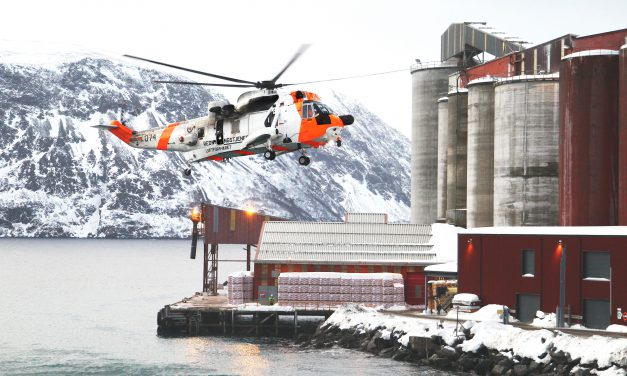 Dette visste du neppe om børselvværingen Borch