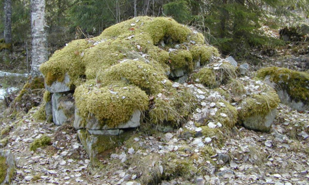 30 år siden første gang