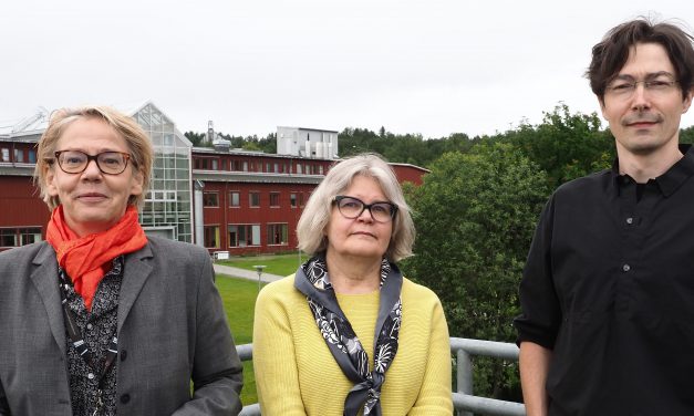 Universiteetti oon yksi polku kväänin kulttuurityöhöön