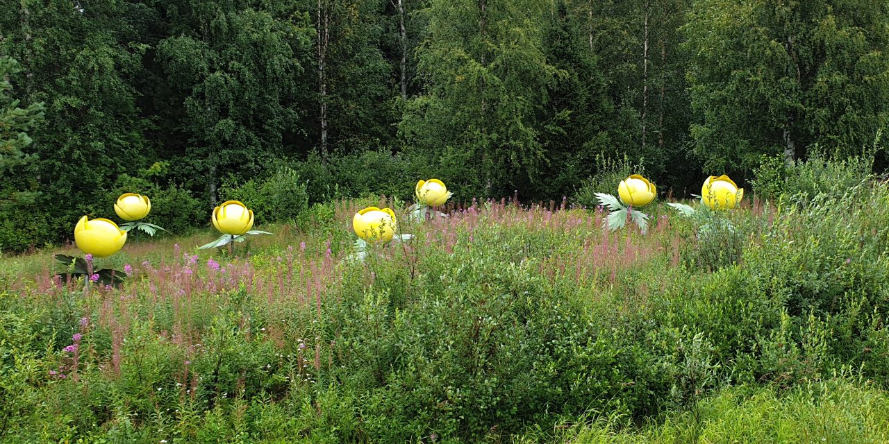 Hirmuinen kukka • Enorm blomst