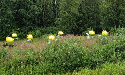 Hirmuinen kukka • Enorm blomst