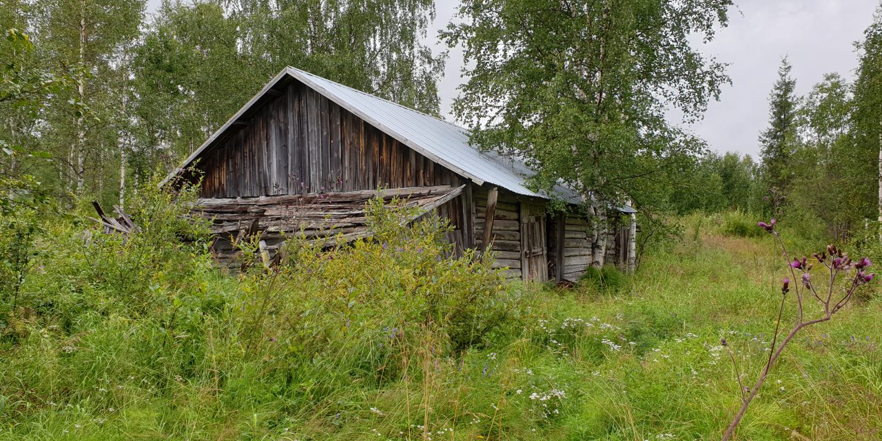 Skuret i skogen