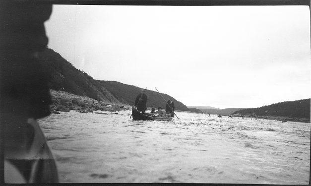 100 års taushetsplikt brutt: Folketellingene fra 1920 er nå tilgjengelige