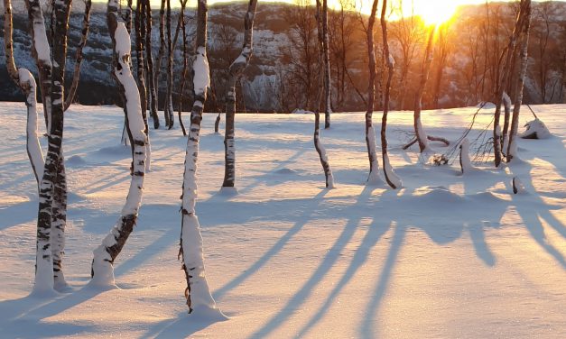 Tålmodig har vi ventet på sola • Kärsivällisesti olemme odottaneet aurinkoa