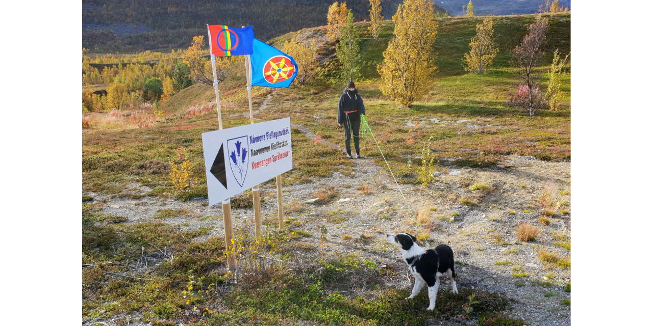 Sommerjobb i vakre Kvænangen?