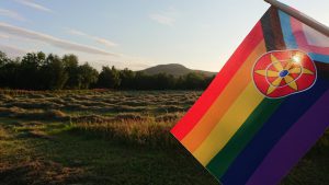 Kvensk pride-flagg (Foto: Elisabeth Stubberud)