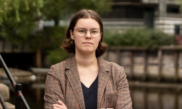 Mener språkloven snubler på målstreken