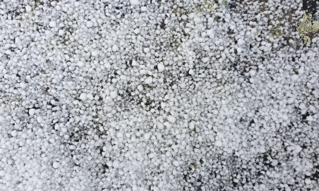 Etterlyser kunstprosjekter