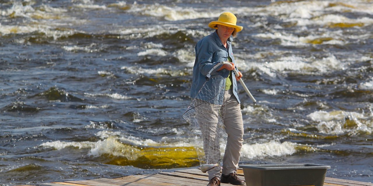Foto og fossefiske