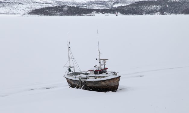 Vi som venter på sommeren • Me jotka odotamme kesää