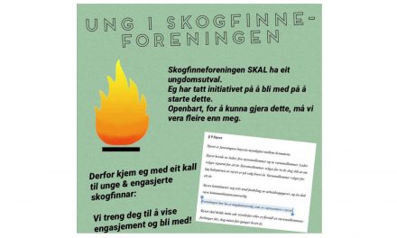 Vil ha egen ungdomsgruppe for skogfinner