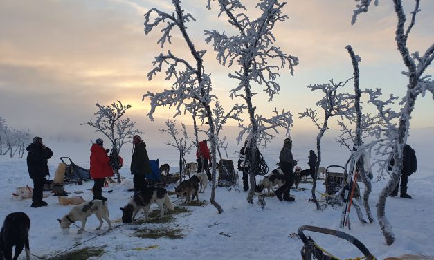 Vil ha kvenske interesser med i planen