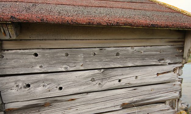 Fra fly til sjå • Lentokoneesta irtoa