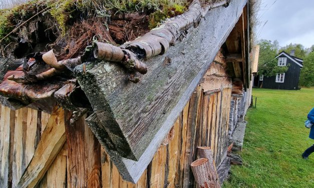 Spor, nettverk og forbindelser